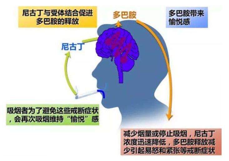 老烟民戒烟后出现