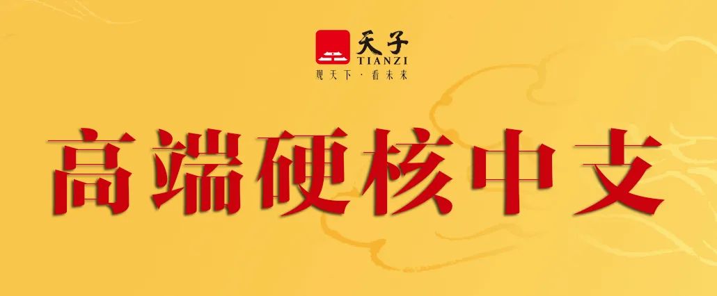 2020年将会是中支品类大发展的一年